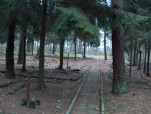 karta ewidencyjna, skan nr 16