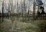 karta ewidencyjna, skan nr 7