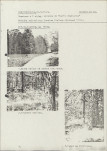 inne, skan nr 16