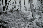 karta ewidencyjna, skan nr 15