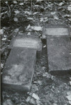 karta ewidencyjna, skan nr 17