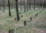 karta ewidencyjna, skan nr 5