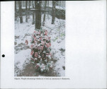 karta ewidencyjna, skan nr 2