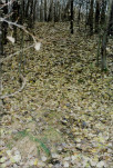 karta ewidencyjna, skan nr 6