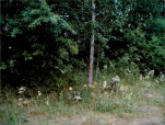 karta ewidencyjna, skan nr 3