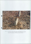 karta ewidencyjna, skan nr 13