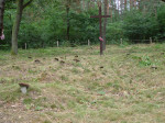 karta ewidencyjna, skan nr 3