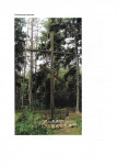 karta ewidencyjna, skan nr 2