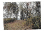 karta ewidencyjna, skan nr 7