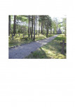 karta ewidencyjna, skan nr 3