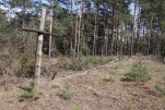 karta ewidencyjna, skan nr 4