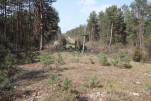 karta ewidencyjna, skan nr 5