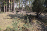 karta ewidencyjna, skan nr 6