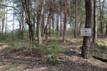 karta ewidencyjna, skan nr 7