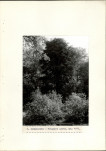 Ewidencja parkowa, skan nr 28