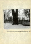 Ewidencja parkowa, skan nr 11