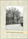 Ewidencja parkowa, skan nr 13