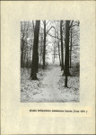 Ewidencja parkowa, skan nr 16