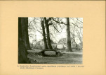 Ewidencja parkowa, skan nr 32
