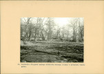 Ewidencja parkowa, skan nr 48