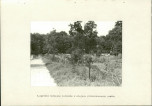 EP - Ewidencja parkowa, skan nr 36
