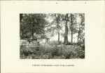Ewidencja parkowa, skan nr 28