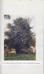 Ewidencja parkowa, skan nr 51