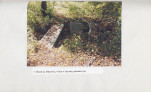 Ewidencja parkowa, skan nr 52