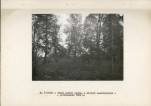 Ewidencja parkowa, skan nr 15