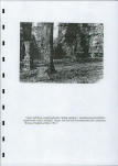 EP - Ewidencja parkowa, skan nr 11