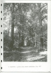 Ewidencja parkowa, skan nr 15