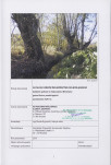 Ewidencja parkowa, skan nr 2