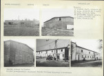 Karta biała, skan nr 10