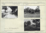 KB - Karta biała, skan nr 7
