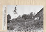 EP - Ewidencja parkowa, skan nr 23