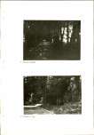 Ewidencja parkowa, skan nr 33