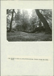 Ewidencja parkowa, skan nr 57