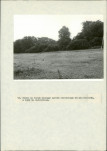 Ewidencja parkowa, skan nr 60