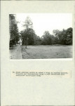 Ewidencja parkowa, skan nr 62