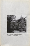 EP - Ewidencja parkowa, skan nr 22