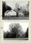EP - Ewidencja parkowa, skan nr 20