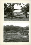 EP - Ewidencja parkowa, skan nr 39