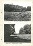 EP - Ewidencja parkowa, skan nr 48