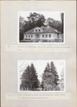 Ewidencja parkowa, skan nr 65
