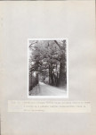Ewidencja parkowa, skan nr 66