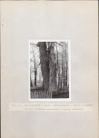 Ewidencja parkowa, skan nr 67