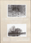 Ewidencja parkowa, skan nr 68