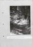 Ewidencja parkowa, skan nr 28