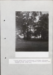 Ewidencja parkowa, skan nr 30