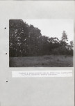 Ewidencja parkowa, skan nr 33